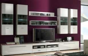 Features of the choice of modular cabinets in the living room, and their models