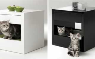 Options de meubles pour chats, conseils utiles pour choisir