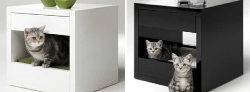 Options de meubles pour chats, conseils utiles pour choisir