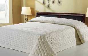Purpose of quilted bedspreads and their characteristics for the right choice