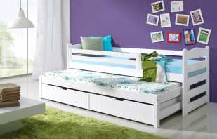 Why sliding beds for two children are popular, their positive features