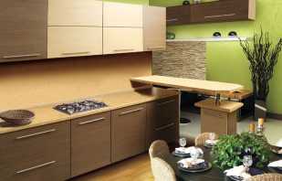 Options pour les meubles d'armoire dans la cuisine, conseils pour choisir