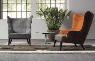 The nuances of choosing chairs in the living room, popular style decisions