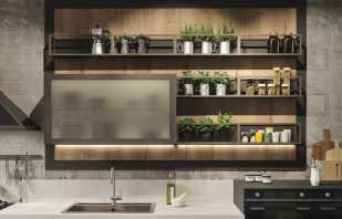 Overview of kitchen cabinets, selection rules