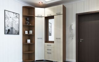 Options pour armoires d'angle pour le couloir, modèles photo