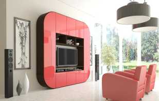 Features of cabinet furniture and photos of the most popular models