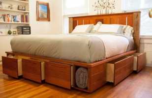 What are king beds, photos of models