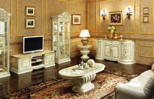 Features of the choice of furniture in the living room realized in the classical style