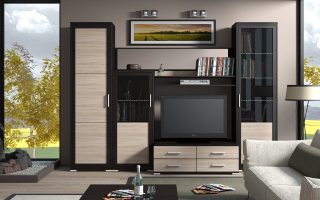 The choice of modular furniture in the living room, expert advice