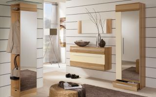 Options for furniture for the hallway in a modern style, and its distinctive features