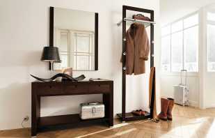 Rules for placing a mirror in the hallway, tips for choosing and designing