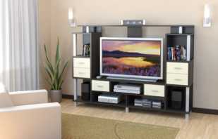 Types of furniture for TV, designs in the living room