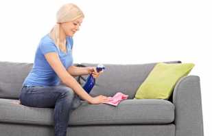 The best means for cleaning the sofa, folk recipes