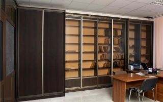 Features of choosing a cabinet for the cabinet, existing options
