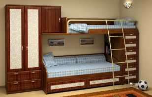 Characteristics of bunk beds for teenagers and their varieties