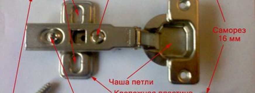 Rules for installing hinges for the cabinet door, the nuances of the process