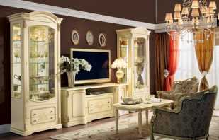 Features of the choice of cabinets for showcases in the living room, existing options