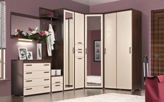 What are the corner cabinets for the corridor, the pros and cons of models