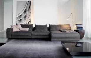 Modern models of sofas in the living room - tips for choosing and placing