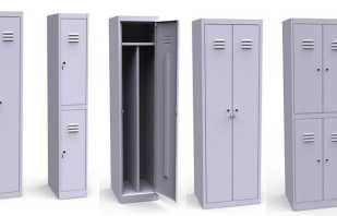 Overview of metal locker rooms, selection rules
