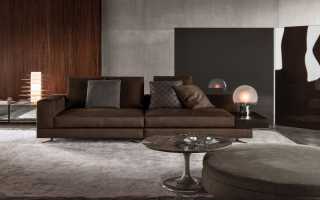 Interior with a brown sofa, the rules of choice and location