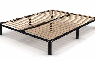 What functions do the bed bases provide? An overview of options