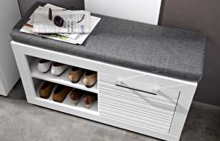 Options d'armoires pour chaussures avec un siège pour le couloir, leurs avantages et inconvénients