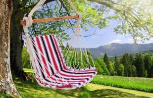 Features of using a hammock chair, the nuances of choice