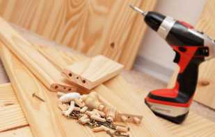 How to assemble cabinet furniture, the main nuances