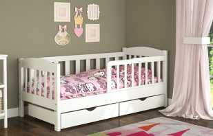 Options and features of cots from 5 years for girls, the color scheme of products