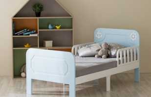 Tips for choosing a baby bed from 3 years old, popular types