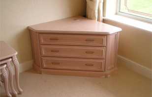 Furniture in beech color, photos of ready-made and popular examples