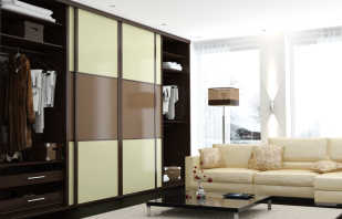 Overview of built-in wardrobes for the living room, existing options