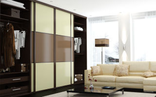 Overview of built-in wardrobes for the living room, existing options