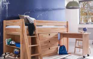 Features loft beds with a working area, popular options