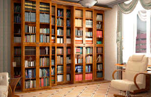 Que sont les armoires de bibliothèque, un aperçu des modèles