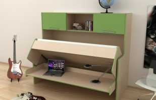 Options pour transformer le mobilier en petit appartement et ses caractéristiques
