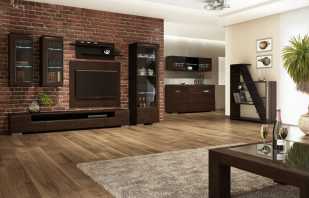 How to choose cabinet furniture in a drawing room, a photo of rooms in a modern style