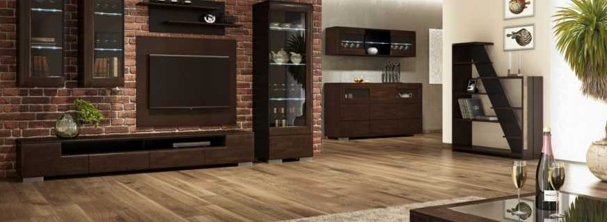 How to choose cabinet furniture in a drawing room, a photo of rooms in a modern style