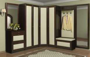 Overview of swing cabinets for the hallway, important nuances of selection