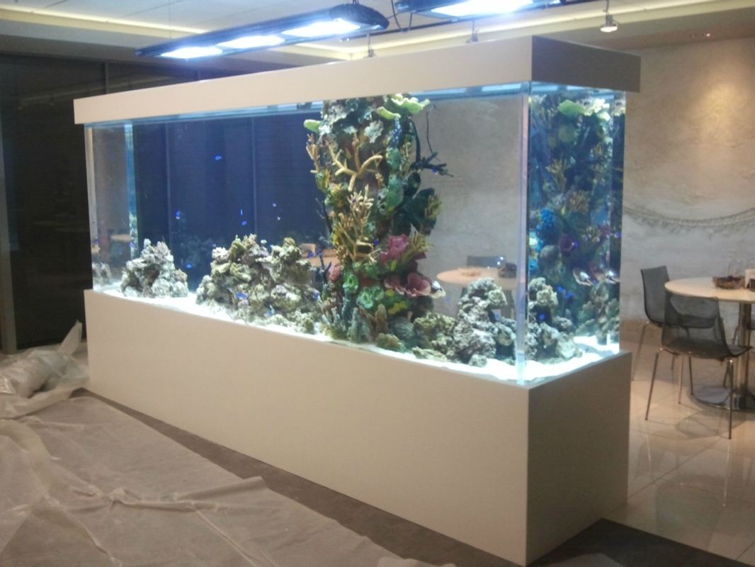 Aquarium avec un piédestal
